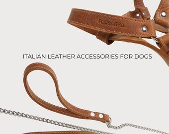 Handmade Italian Leather Dog Leash | Luxury Designer Dog Lead | Premium Pet Leash with Silver Hardware