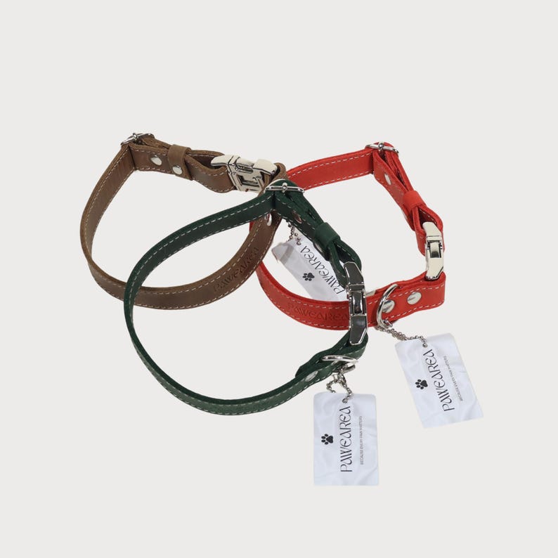 Puede incluir: Tres collares de cuero para perros en marr&oacute;n, verde y rojo. Cada collar tiene una hebilla plateada y una etiqueta que dice "PAW WE AREA". Los collares est&aacute;n dise&ntilde;ados para mascotas.