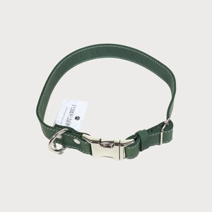 Puede incluir: Un collar para perros de cuero verde con costuras blancas. El collar tiene una hebilla de metal plateado y una anilla en D para sujetar una correa. Una peque&ntilde;a etiqueta blanca con el texto "PAWEARS" est&aacute; adjunta.
