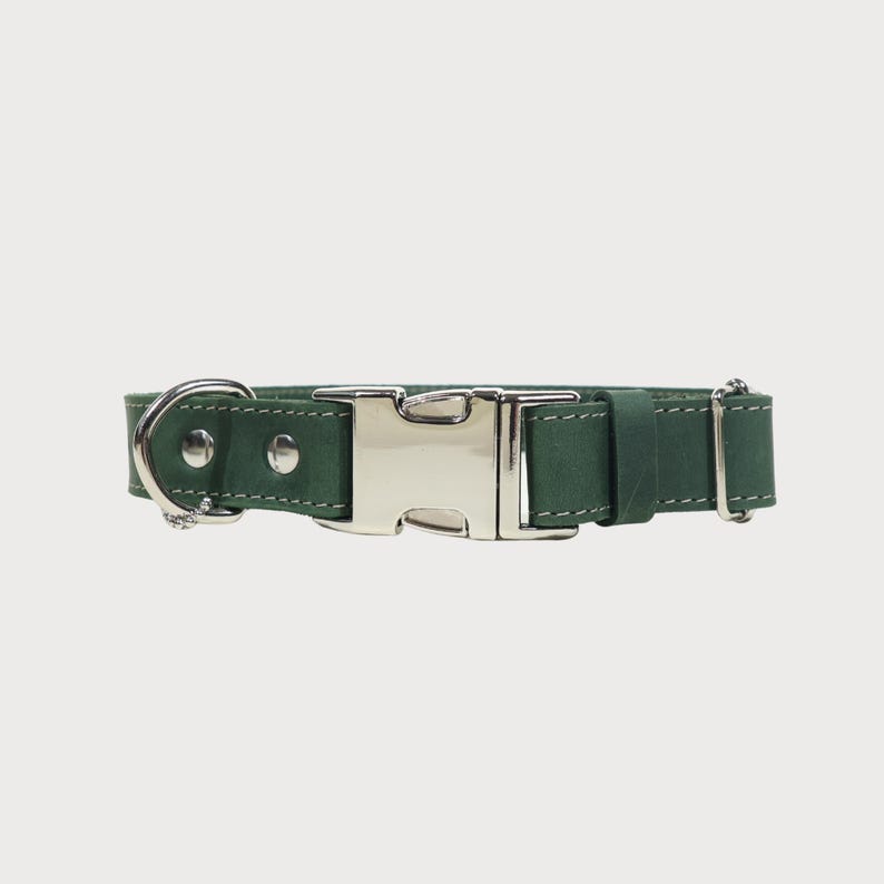 Puede incluir: Un collar para perros verde oscuro con una hebilla y una anilla en D de metal plateado. El collar est&aacute; hecho de un material texturizado y tiene costuras blancas a lo largo de los bordes. La hebilla es de liberaci&oacute;n r&aacute;pida.