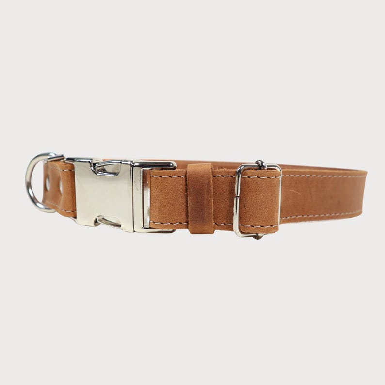Puede incluir: Un collar de perro de cuero marr&oacute;n con una hebilla y una anilla en D de metal plateado. El collar est&aacute; hecho de una sola tira de cuero y tiene un dise&ntilde;o cl&aacute;sico. El collar mide aproximadamente 2,5 cm de ancho.