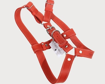 Premium Leather Harness for Dogs, Adjustable Dog Harness, Handmade Luxury Dog Harness