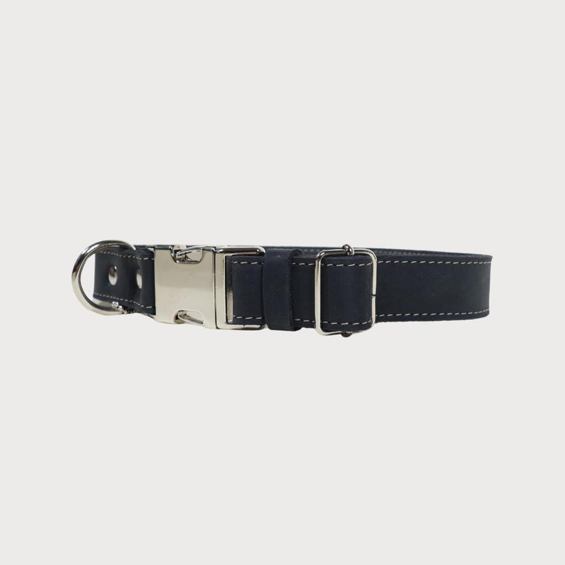 Puede incluir: Un collar para perros de cuero azul marino con hebilla y anilla en D de metal plateado. El collar tiene costuras blancas. La hebilla es de tipo est&aacute;ndar.