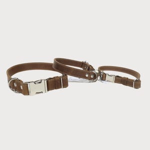 Puede incluir: Tres collares de cuero marr&oacute;n para perros con hebillas y herrajes de metal plateado. Los collares son de diferentes tama&ntilde;os, uno m&aacute;s grande y dos m&aacute;s peque&ntilde;os. El nombre de la marca "PAWGANIC" es visible en uno de los collares.