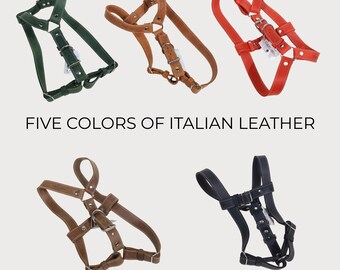 Handmade Leather Dog Harness | Easy-On Luxury Pet Harness | Adjustable Soft Harness for Small & Medium Dogs