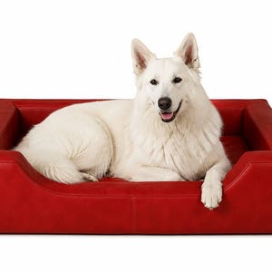 May include: A rectangular red pet bed with raised sides and a smooth, leather-like texture. A large, long-haired white dog with pointed ears is lying down inside the bed, facing forward with its mouth slightly open and one paw resting on the edge.
