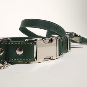 Puede incluir: Primer plano de un juego de collar y correa para perros de color verde oscuro. El collar tiene una hebilla y remaches de metal plateado. La correa es visible en el fondo. El conjunto est&aacute; hecho de un material duradero.