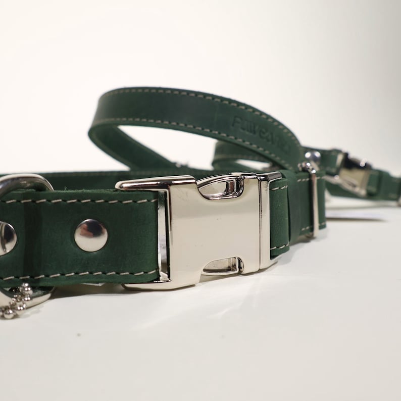 Puede incluir: Primer plano de un juego de collar y correa para perros de color verde oscuro. El collar tiene una hebilla y remaches de metal plateado. La correa es visible en el fondo. El conjunto est&aacute; hecho de un material duradero.