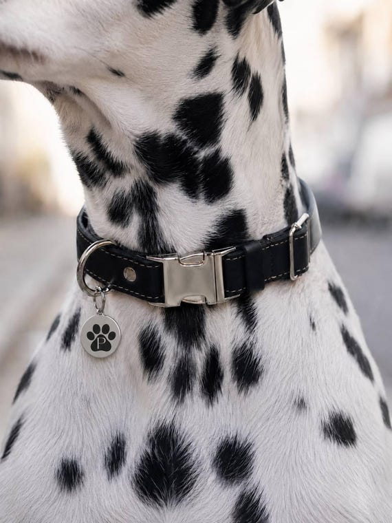Elegant Leather Dog Collar, Adjustable Handmade Dog Collar, Premium Genuine Leather Pet Accessory