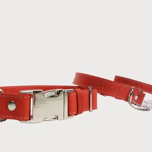 Puede incluir: Collar de perro de cuero rojo con hebilla de metal plateado y correa a juego. El collar y la correa est&aacute;n cosidos con hilo blanco. El nombre de la marca "PAWEAREA" est&aacute; grabado en la correa.