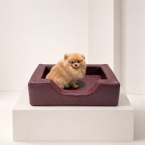 May include: A small, fluffy, light brown Pomeranian dog sitting inside a rectangular pet bed. The bed features a deep burgundy, textured exterior with a snakeskin-like pattern, high padded sides, and a low front entry point for easy access.