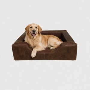 May include: A brown leather dog bed with a rectangular shape and a low front. A golden retriever dog is lying inside the bed, looking at the camera. The bed has a stitched design and is set against a white background.