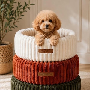 May include: A small, tan-colored dog sits in a cream-colored, corduroy dog bed. The bed is stacked on top of a rust-colored and a green corduroy bed. Each bed has a brown leather tag that reads "PAWAREA".