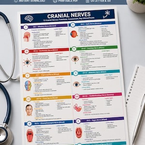 Könnte beinhalten: Eine medizinische Lehrtafel mit dem Titel 12 Cranial Nerves, die detaillierte Diagramme und Texte für jeden Nerv von I bis XII enthält. Die Tafel umfasst Abschnitte zu Funktion, Beurteilung und klinischen Hinweisen mit anatomischen Abbildungen.