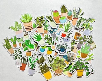 Pegatinas para plantas de interior (50 unidades)