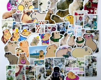 Pegatinas de capibara (50 unidades)