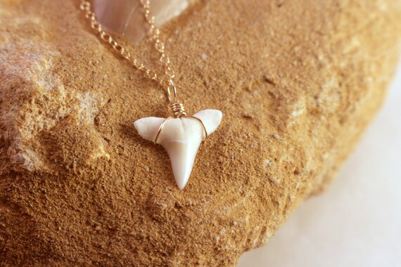 Dainty Shark Tooth Necklace Real Pendant Gold - 14k Gold Shark Tooth Pendant Dainty Shark Tooth Necklace Real Pendant Gold - 14k Gold Shark Tooth Pendant