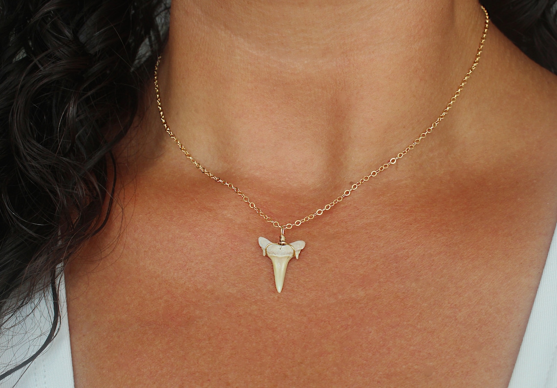 Dainty Shark Tooth Necklace Real Shark Tooth Pendant Gold Etsy