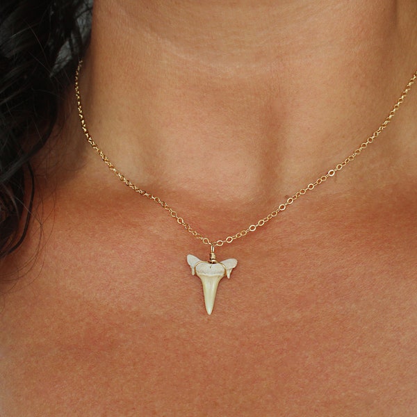 Dainty Shark Tooth Necklace, Real Shark Tooth Pendant, Gold Shark Tooth Necklace, Delicate Gold Necklace, Fossilized Shark Tooth Necklace