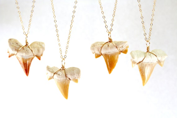 Fossilized Shark Tooth Necklace Gold Shark Tooth Necklace - Etsy