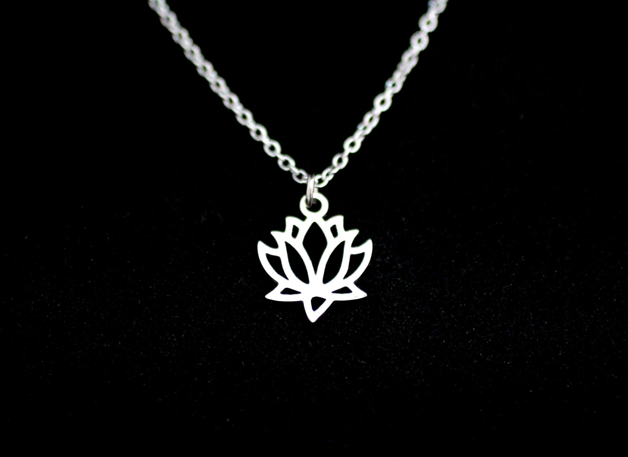 Stainless Steel LV Flowers Necklace Color & Polish Warranty Price: 1200/