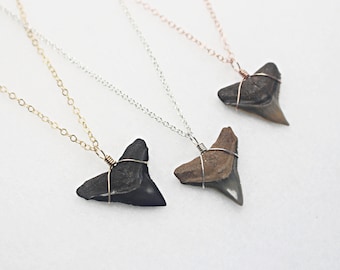 Colar de dente de tubarão fossilizado escuro, colar de dente de tubarão preto, pingente de dente de tubarão preto real, ouro rosa ouro ou colar de prata esterlina