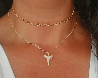 Dainty Shark Tooth Necklace, Real Shark Tooth Pendant, Gold