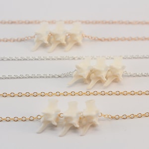 Rattlesnake Bone Necklace, Gold Fill, Sterling Silver, or Rose Gold Filled