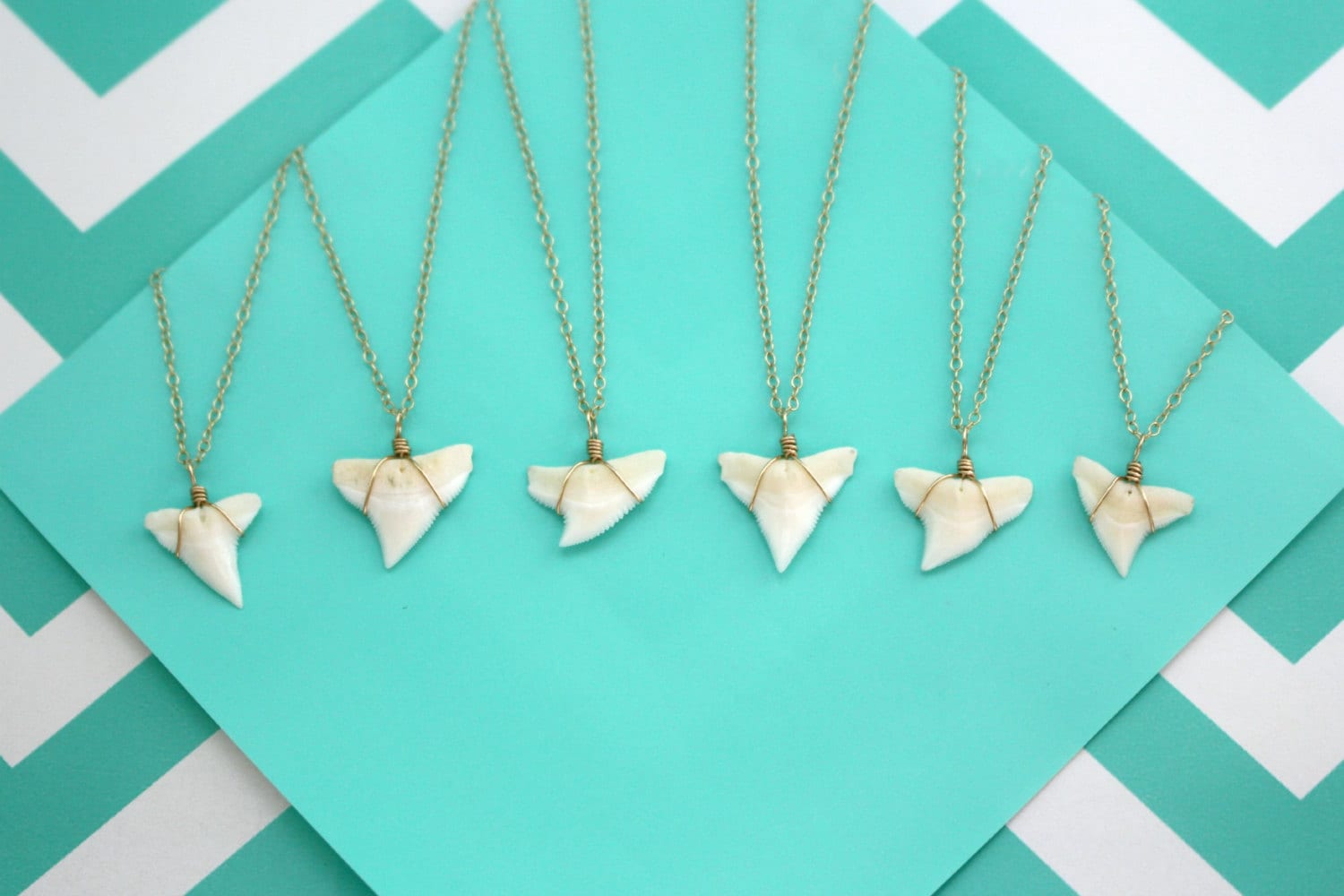 Genuine Shark Tooth Necklace Gold Shark Tooth Jewelry Real Etsy