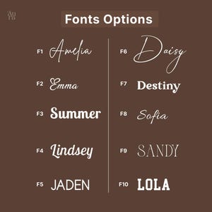 Pu&ograve; includere: Un grafico marrone mostra le opzioni dei caratteri per la personalizzazione. Il testo "Fonts Options" &egrave; in alto. Sono mostrati dieci stili di carattere, ciascuno con un nome come "Amelia" e "Daisy" e un codice corrispondente come F1 e F6.