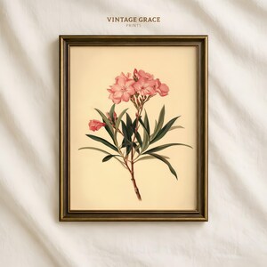 May include: Framed botanical print featuring a detailed illustration of pink oleander flowers and green leaves against a cream background. The print is in a dark brown frame, with the text "VINTAGE GRACE PRINTS" at the top.