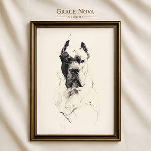 May include: A framed art print featuring a black and white ink sketch of a Cane Corso dog. The portrait shows the dog's head and chest with expressive lines. Above the artwork, the text reads Grace Nova Studio in a dark, elegant font.