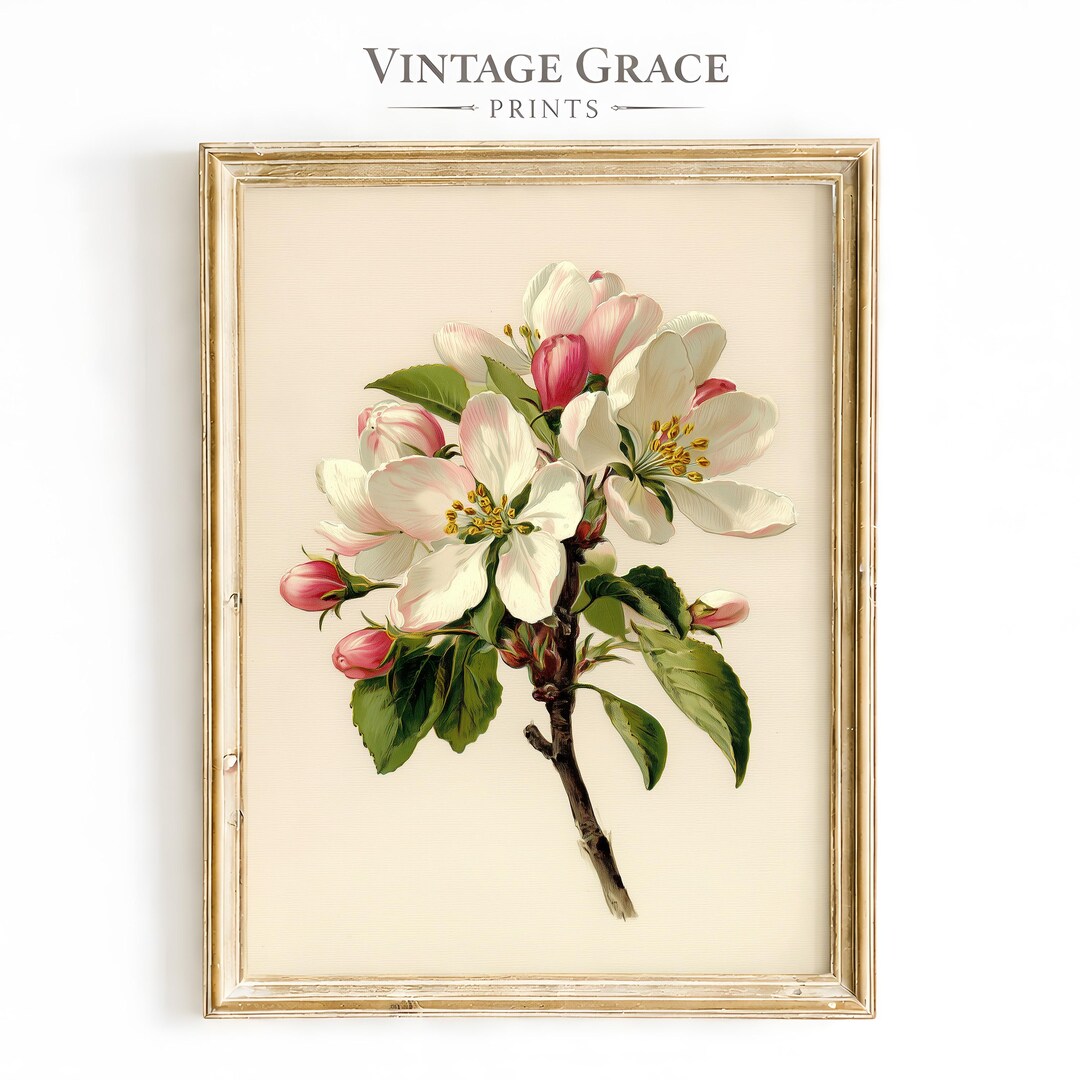 Vintage Botanical Apple Blossom Print | Antique Pink White Spring ...