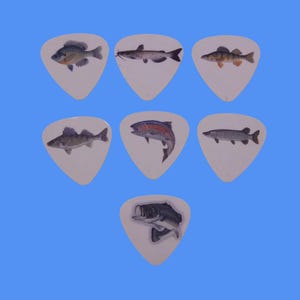 May include: Set of seven guitar picks featuring different types of fish, including a bass, catfish, trout, and walleye. The picks are white with a clear finish and have a standard guitar pick shape.