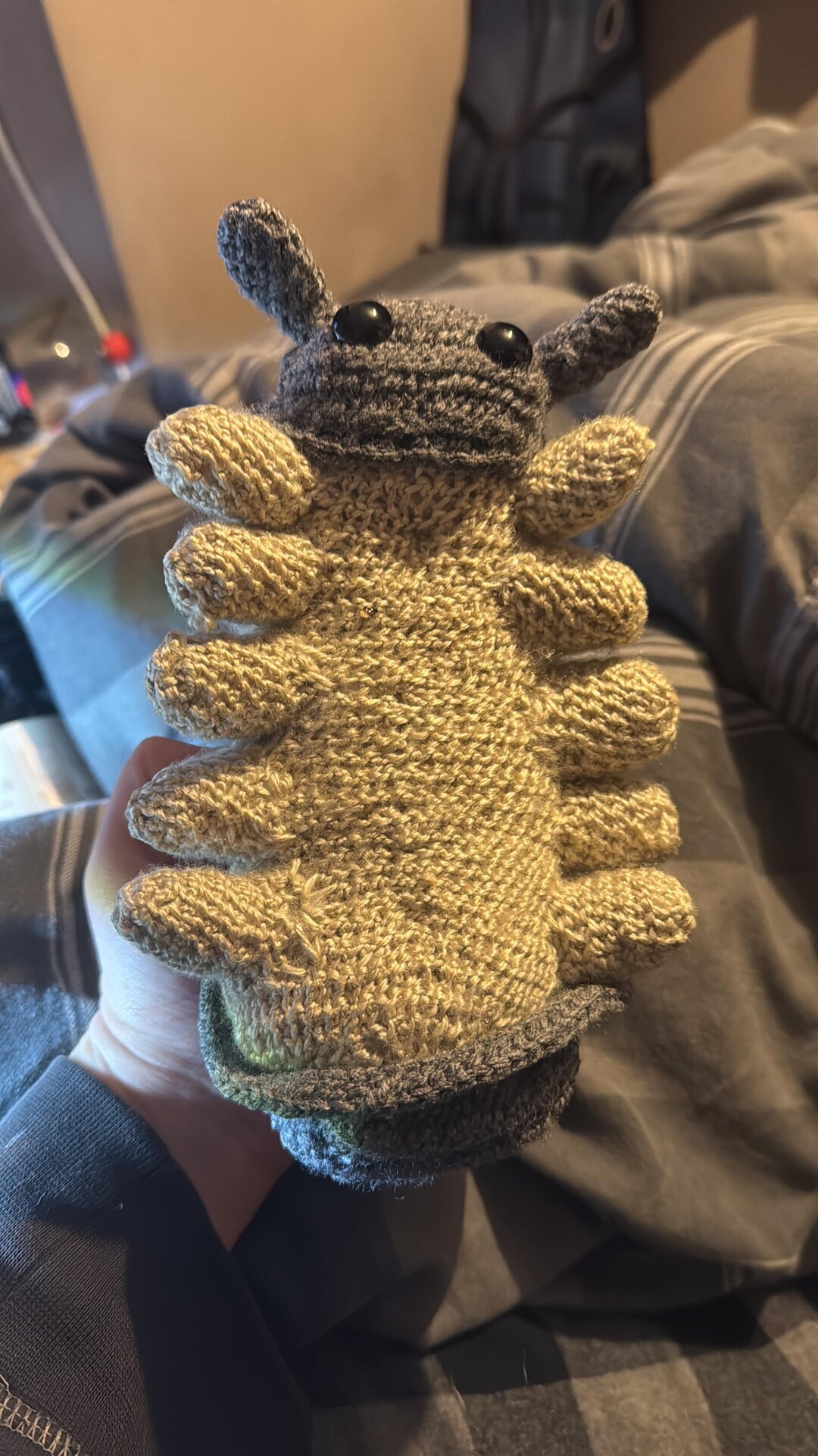 Adopt a Chuggy Pig - Etsy