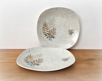 J & G Meakin Rock Fern Dinner Plates REGD SOL 391413