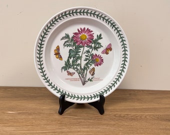 Chrisanthemum Coccineum Portmeirion Botanic Garden Dinner Plate Flowered Chrysanthemum