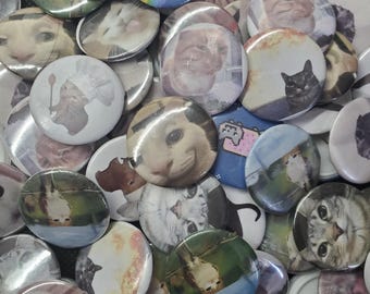 Silly Cat Buttons/Pins