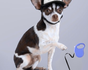 Trucker Hat for Dog, Adjustable Pet Foam & Mesh Cap, Dog Lover Accessory, Four Color Choices, Three Size Choices