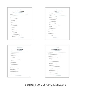 May include: Four white worksheets with titles: Binary and Data Representation, Complex Programming, Digital Citizenship, and Digital Safety and Citizenship. Each worksheet has a list of questions. The bottom of the image reads "PREVIEW - 4 Worksheets."
