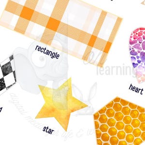 May include: A vibrant educational illustration showcasing different geometric shapes, such as a diamond, star, heart, and hexagon. Each shape is labelled with its name, creating a visually appealing and informative design.