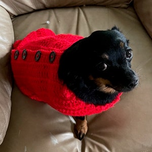 Crocheted Dog Sweater image 1