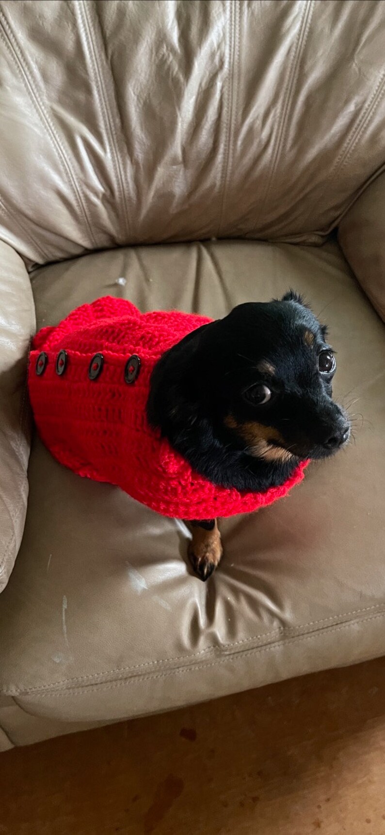 Crocheted Dog Sweater image 1