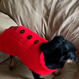 Crocheted Dog Sweater image 2