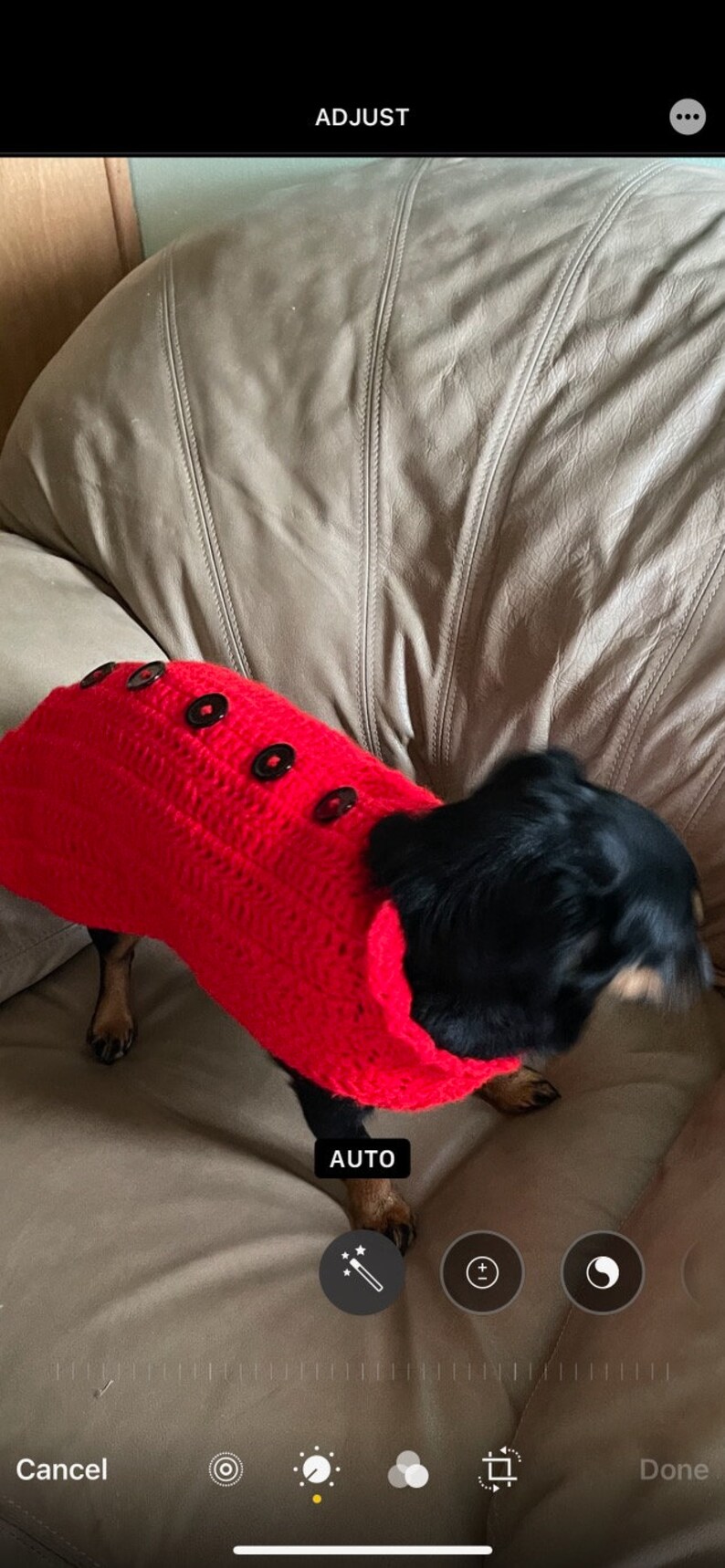 Crocheted Dog Sweater image 2