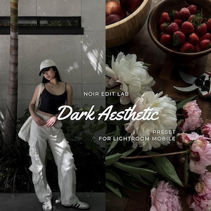 20 mörkestetiska Lightroom-förinställningar | Lågkontrast Mörkt, stämningsfullt Gamla pengar Svart Instagram-filter (digital nedladdning) bild 2