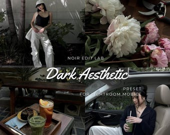 20 Lightroom Presets | Low Contarst Dark Moody Old Geld Schwarz Instagram Filter (Digitaler Download)