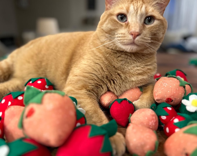 Playful Organic Catnip Strawberry Cat Toy SET of Three
