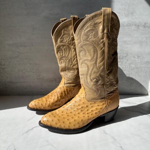 Puede incluir: Un par de botas vaqueras de color tostado con el pie de cuero texturizado con patrón de puntos y la caña de cuero liso con intrincadas costuras tonales. Las botas tienen punta afilada, tacón apilado y tiradores en la parte superior.