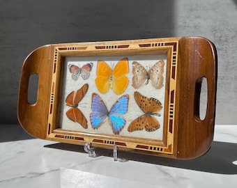 Vintage Wooden Serving Tray with Preserved Butterflies and Inlay Marquetry Trim